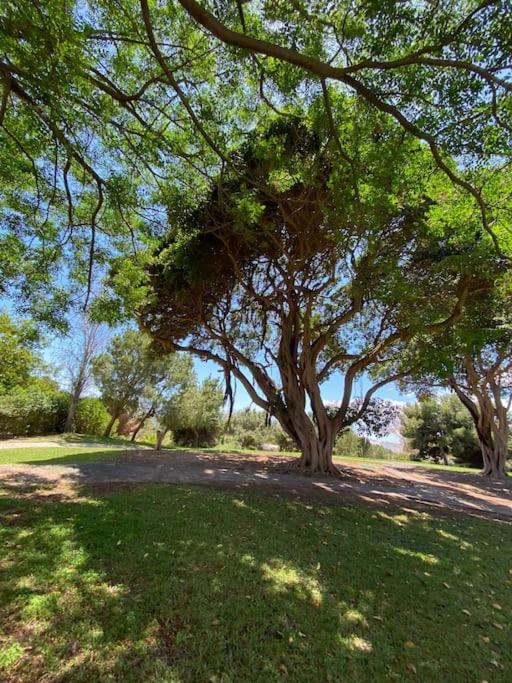 Apt Moderno Con Vistas, Recepcion 24 Hs Y Piscinas Benalmádena Eksteriør bilde